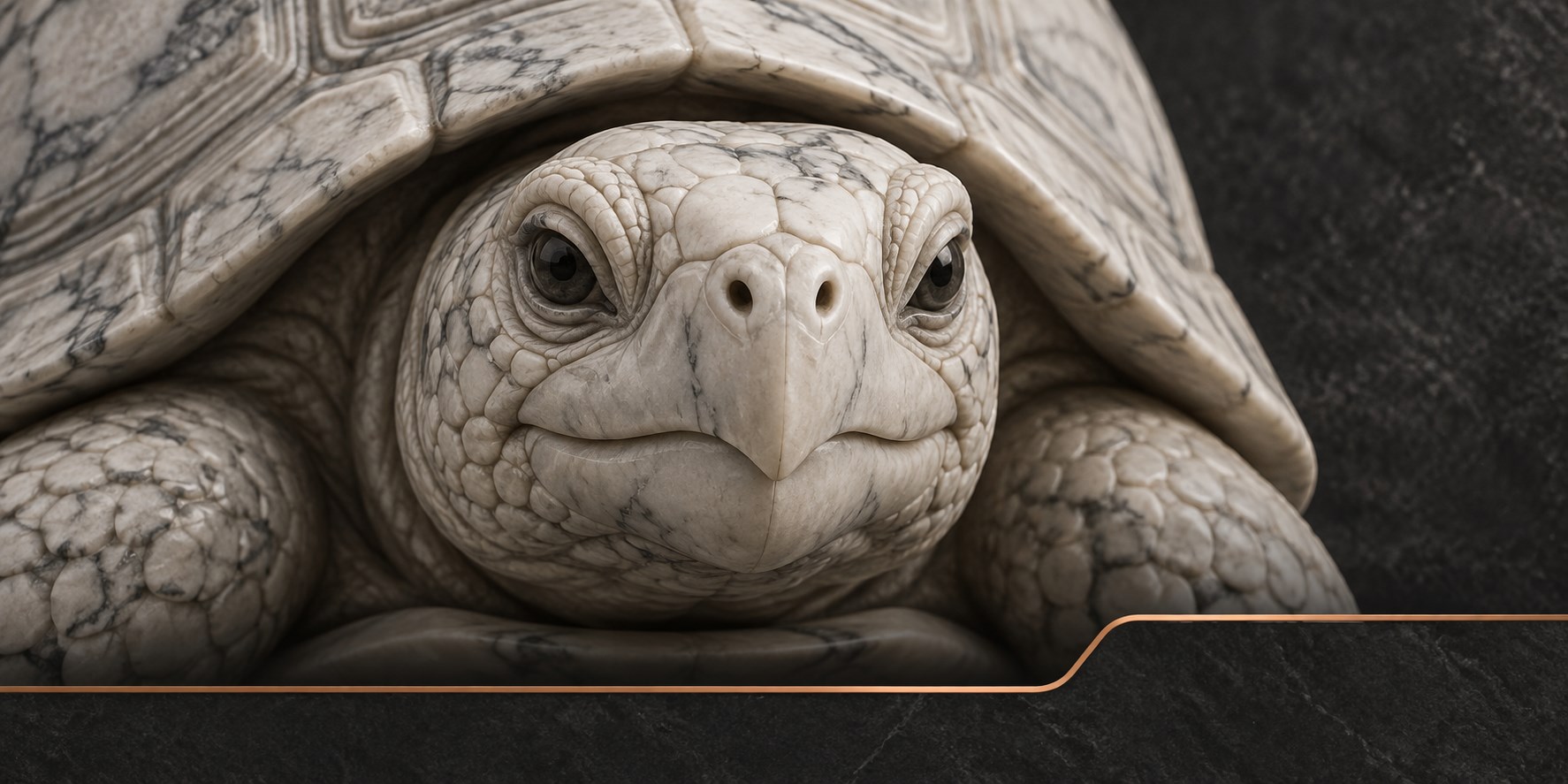 Close-up marble tortoise beside a copper path representing deliberate modernization